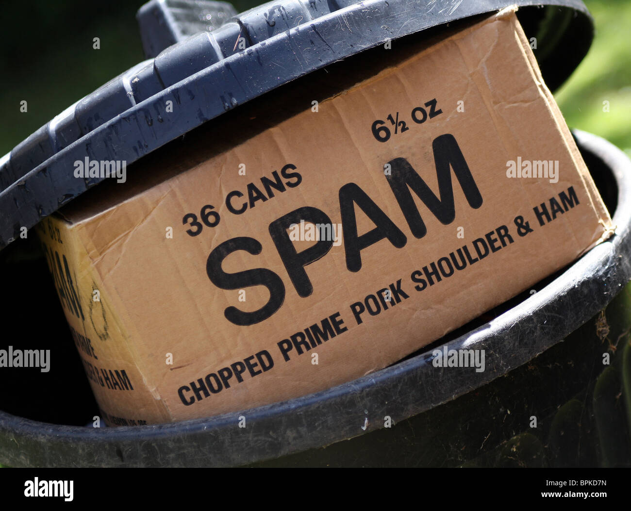 Spam luncheon meat box in a dustbin Stock Photo