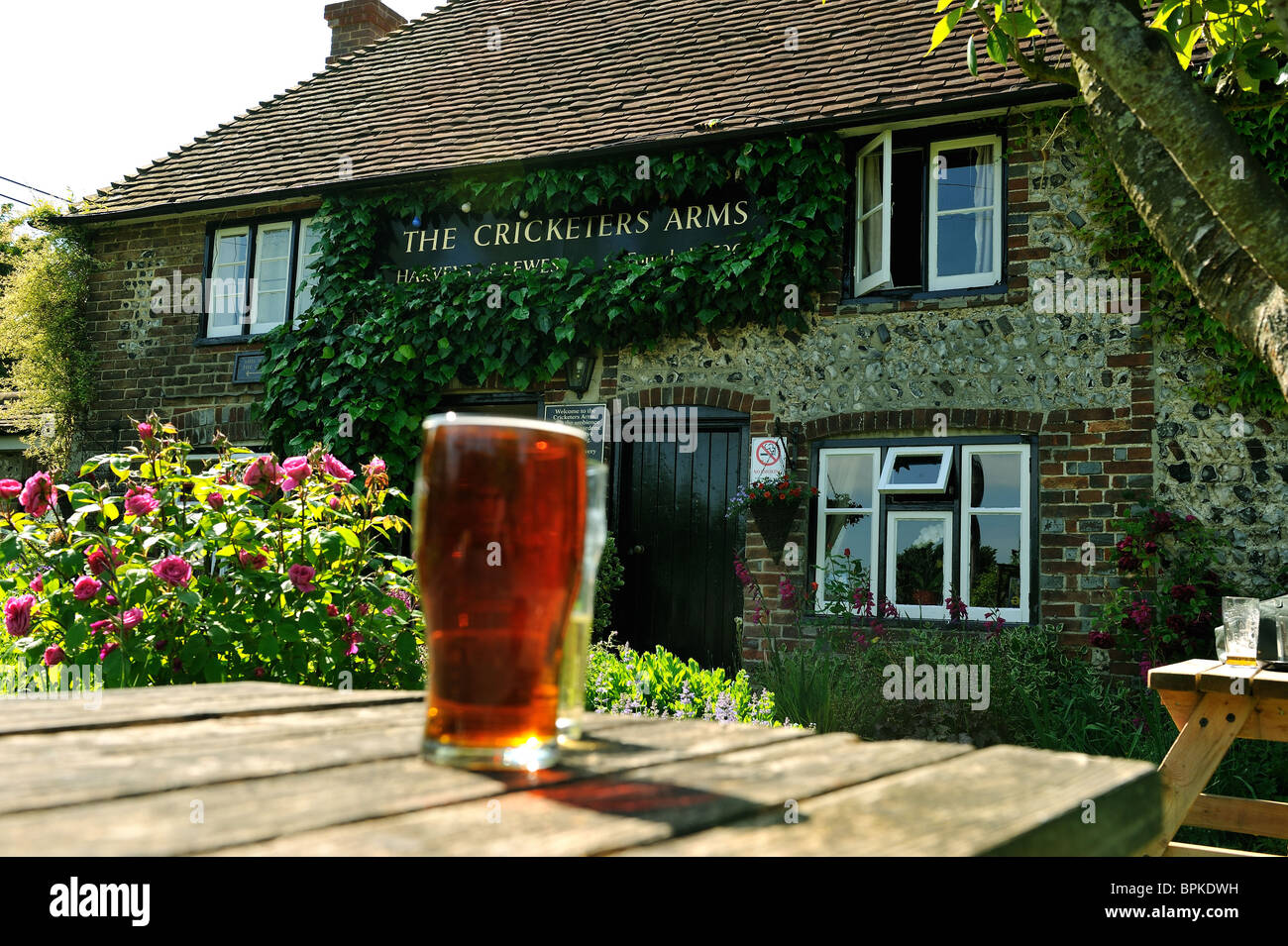 Pint of Beer in an English pub garden of the Cricketers Arms East Sussex Stock Photo