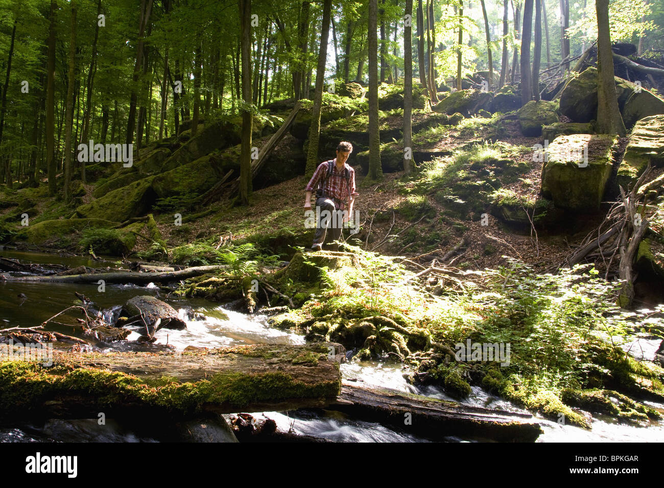 Hiker passing Karl's Valley, Palatine Forest, Rhineland-Palentine, Germany Stock Photo