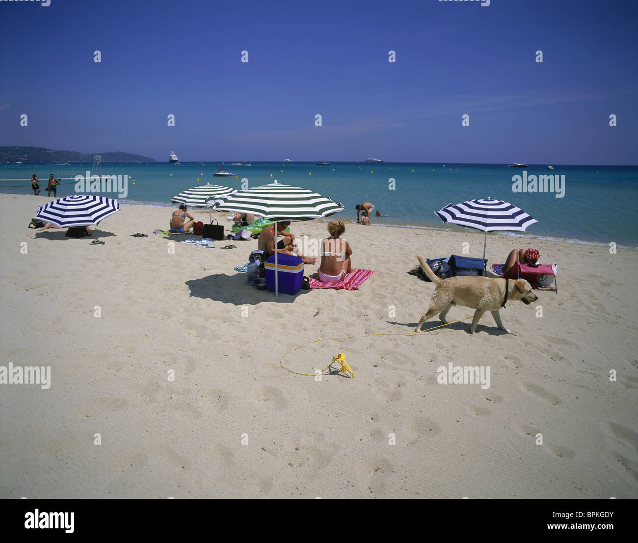 Aimant Frigo 3D St Tropez Riviera France - Souvenir De Voyage Cadeau Déco Pour Cuisine Ou Bureau