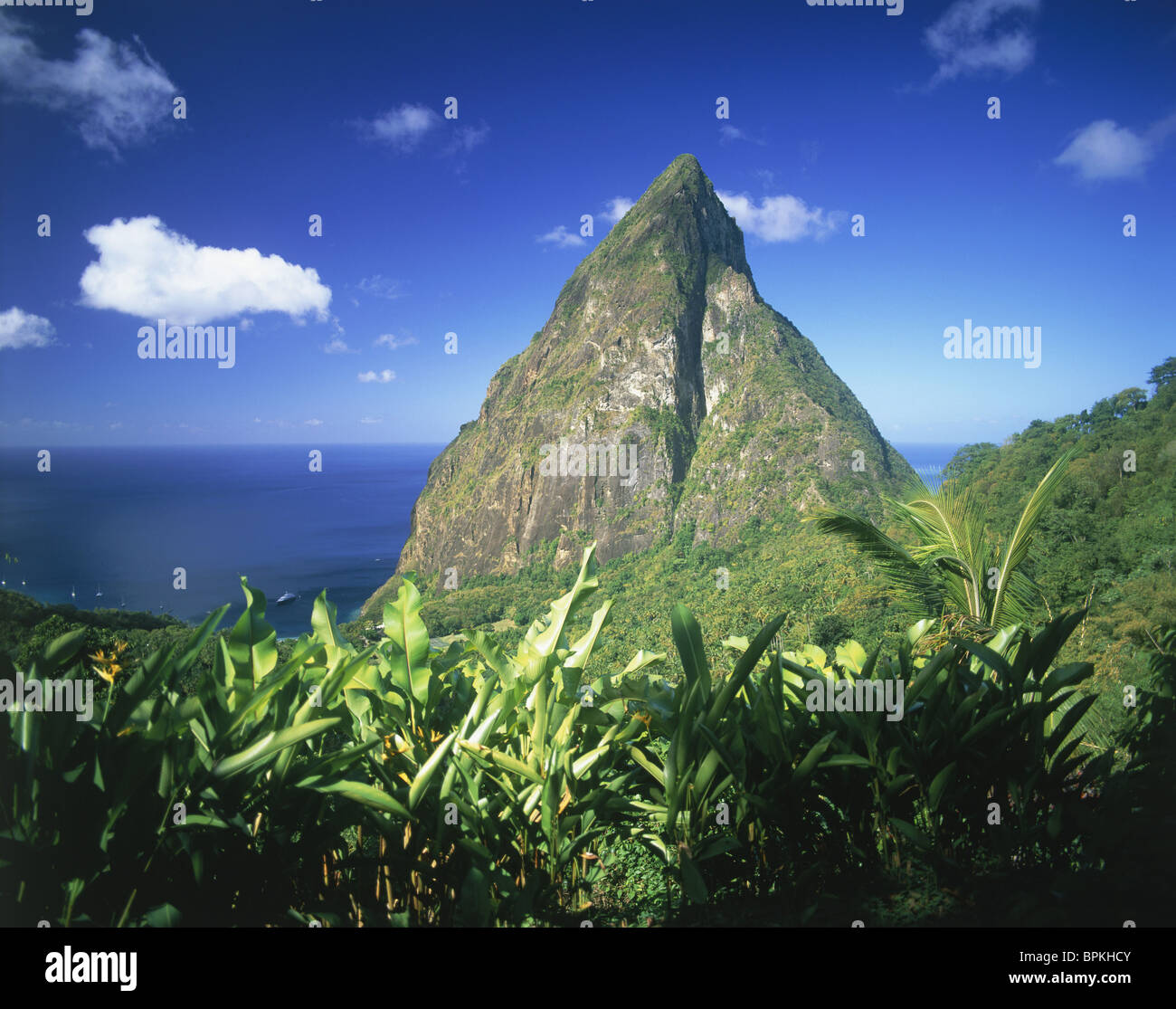 The Pitons, Soufriere, St Lucia, Caribbean Stock Photo Alamy