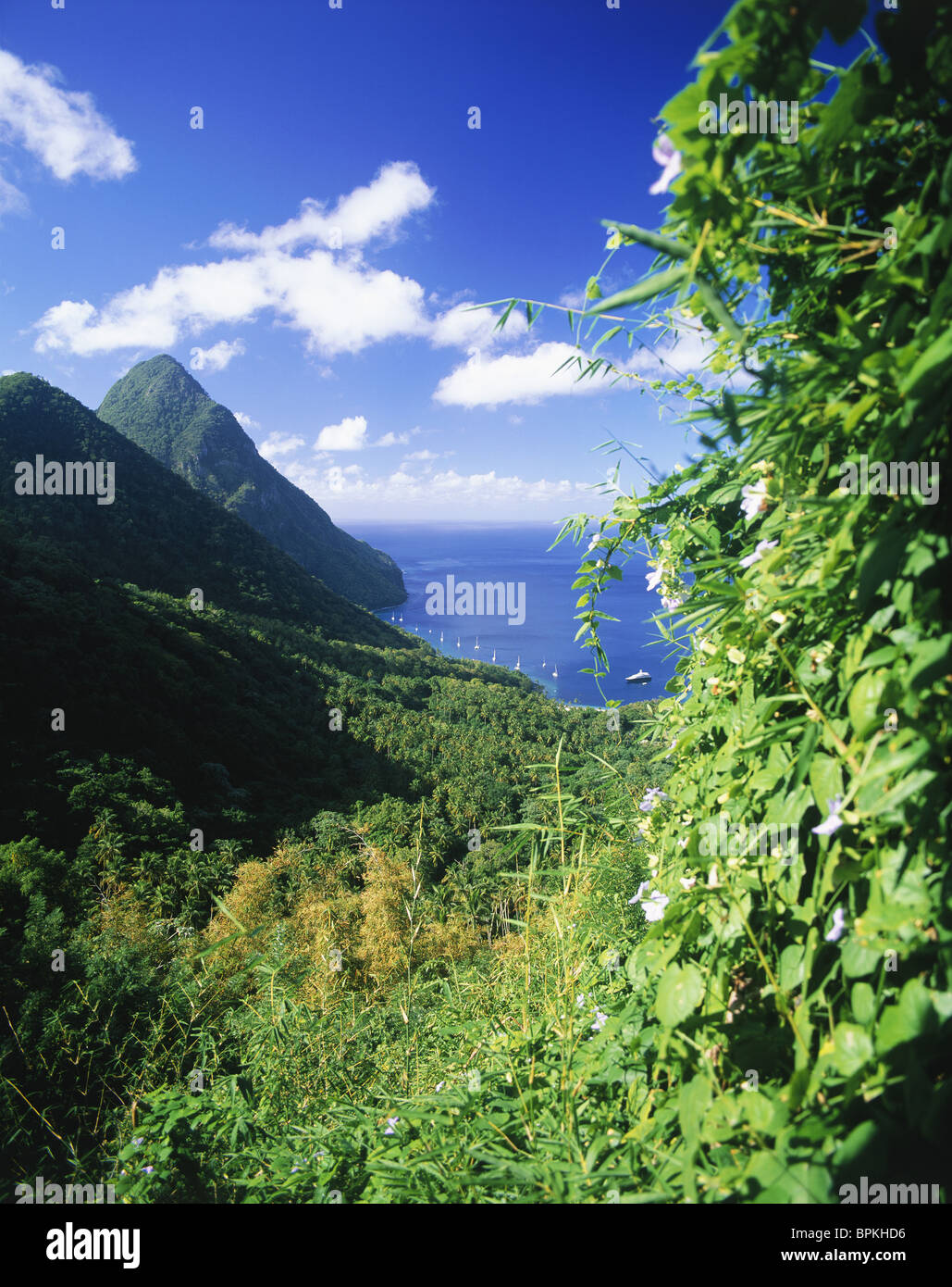 The Pitons, Soufriere, St Lucia, Caribbean Stock Photo Alamy