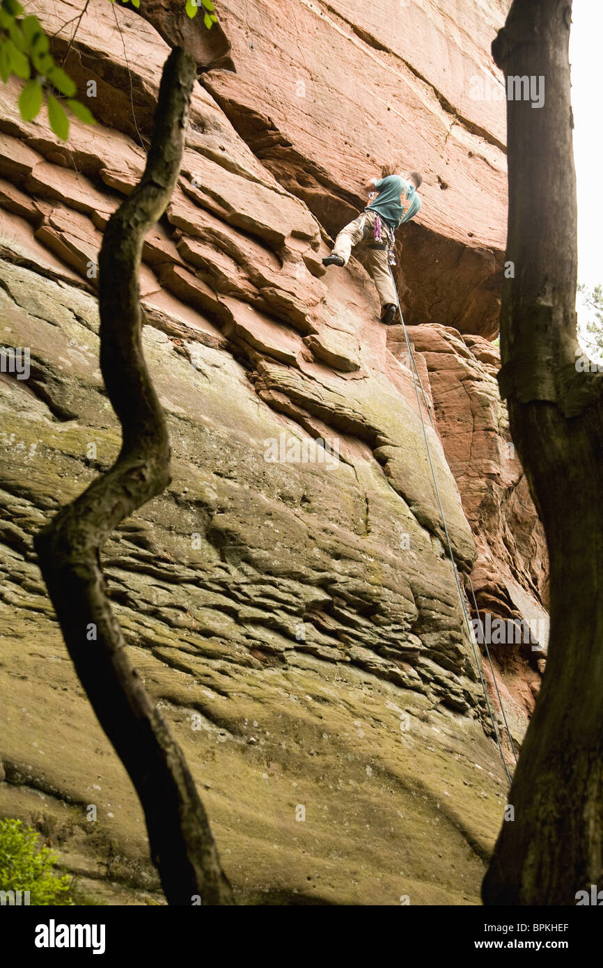 Freeclimber at sandstone rock, Baerenbrunnenhof, Palatine Forest, Rhineland-Palentine, Germany Stock Photo