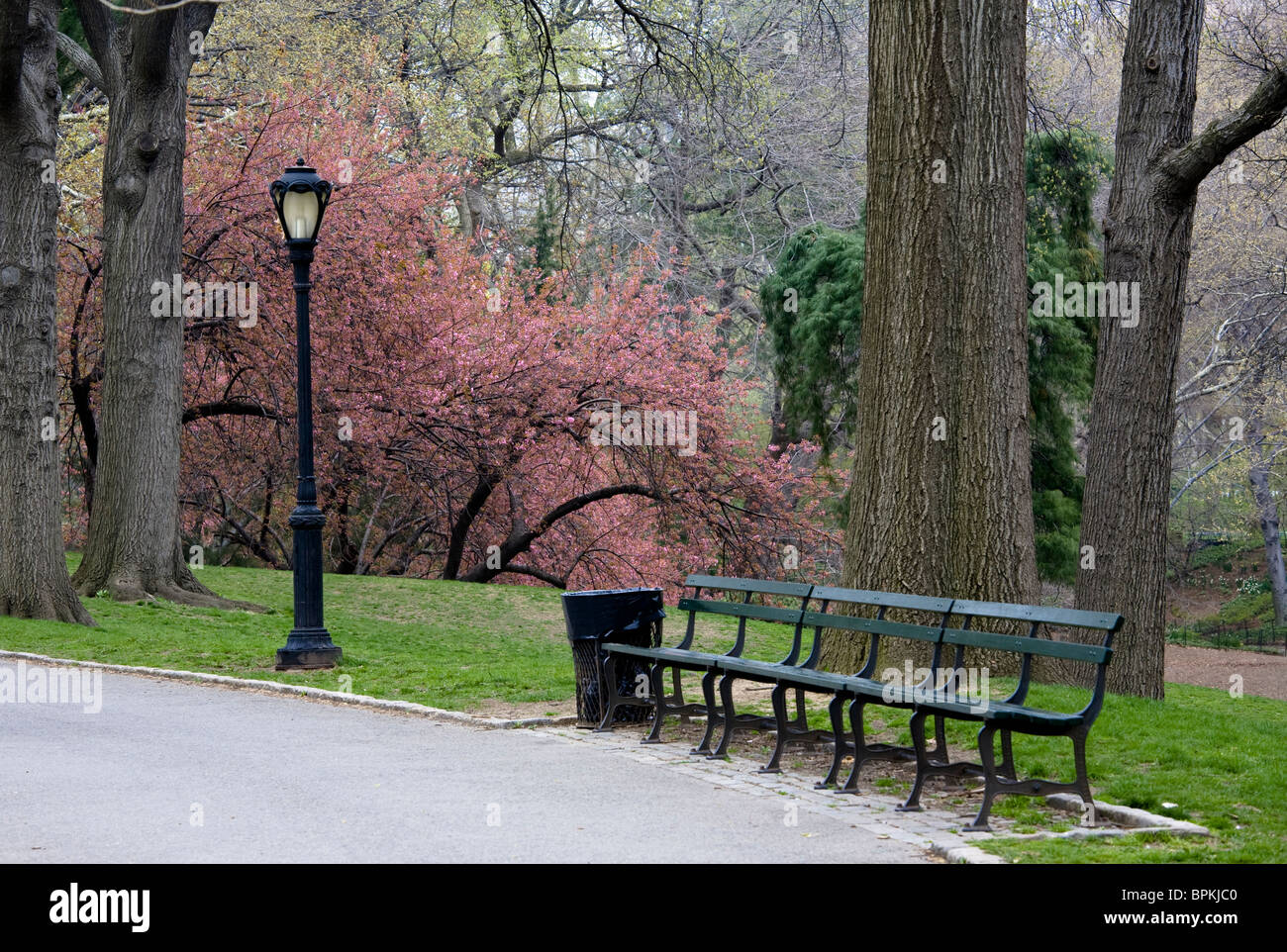 Early spring in Central Park New York City Stock Photo - Alamy