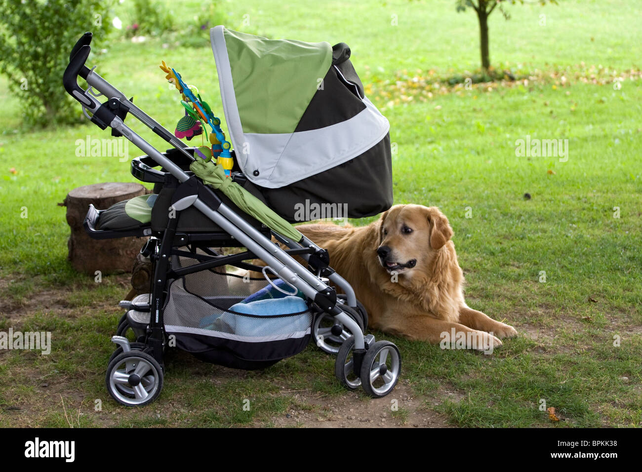Pet stroller hires stock photography and images Alamy