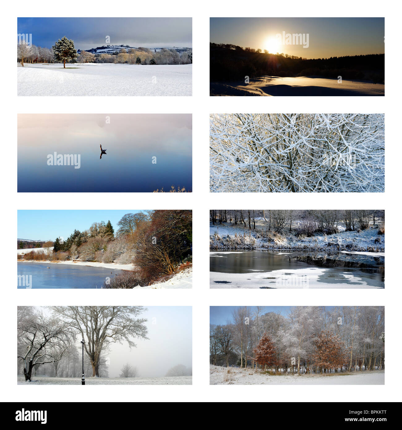 picturesque winter collage Stock Photo
