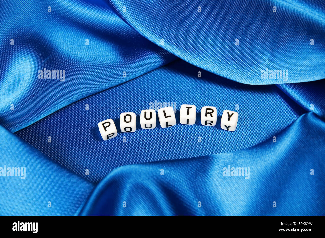 Royal blue satin background with rich folds and wrinkles for texture is the word poultry in lettering in this series. Stock Photo