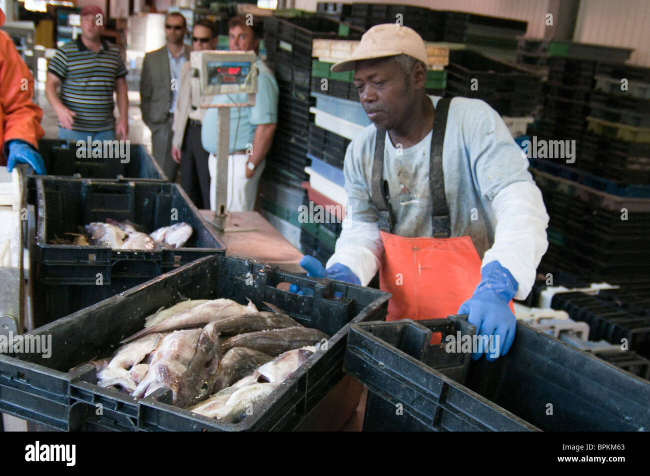 Fishing trawlers offload their catch at a processing facility in Gloucester; MA. Stock Photo