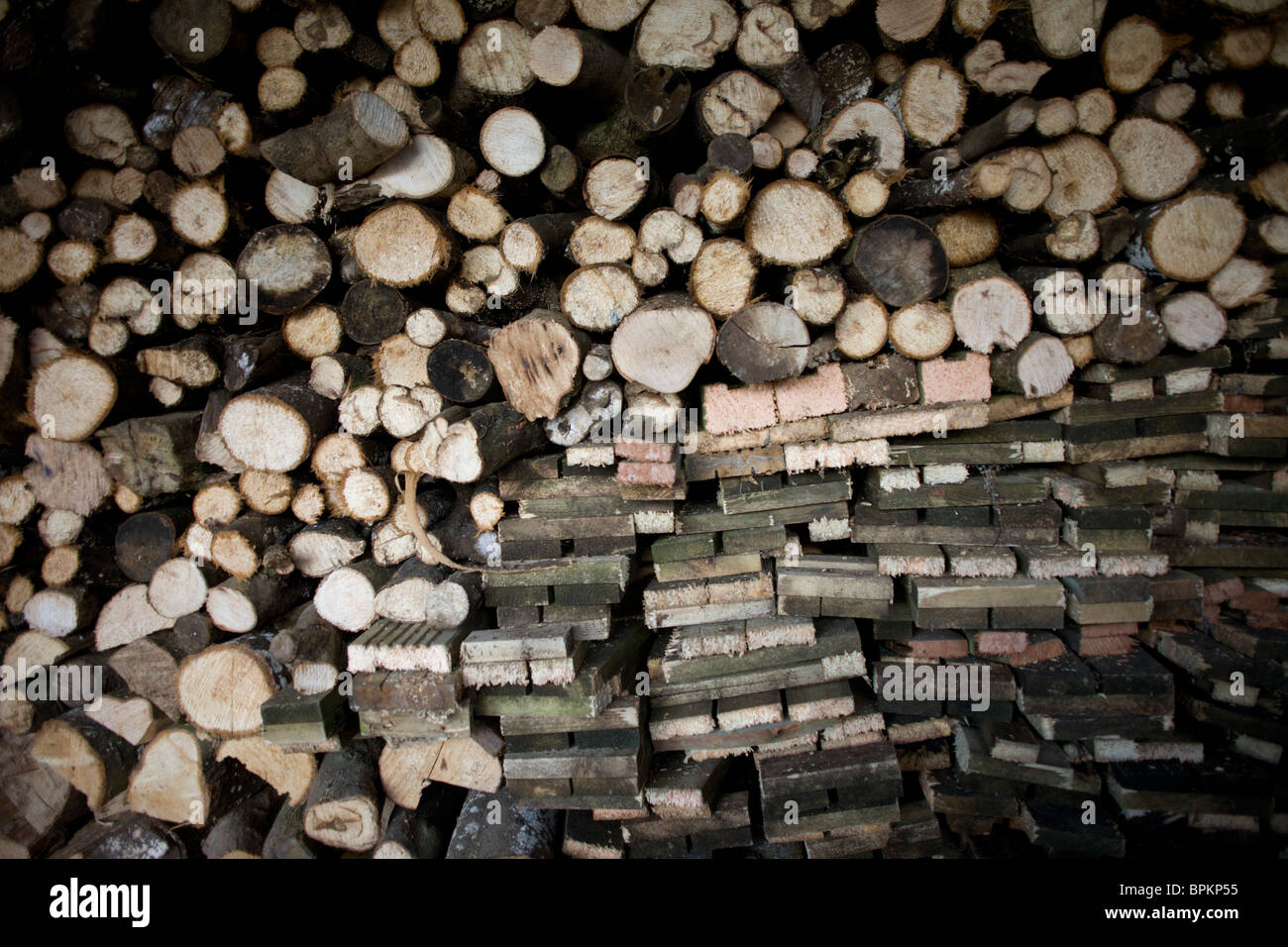 Piles of sawn logs, ready for a winter home fire, stays dry under cover on a small holding. Stock Photo