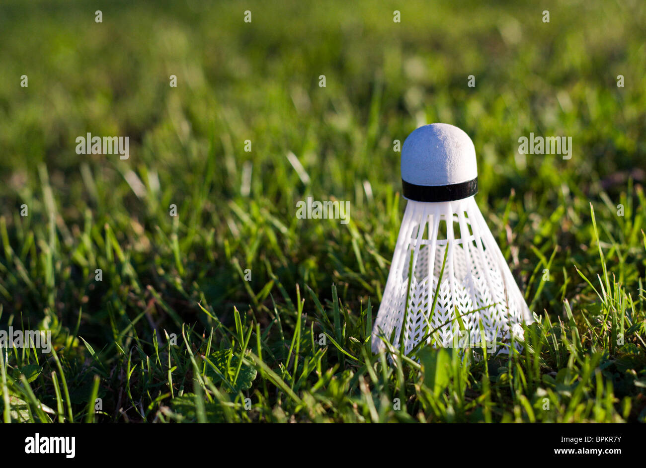A badminton in the grass. Stock Photo