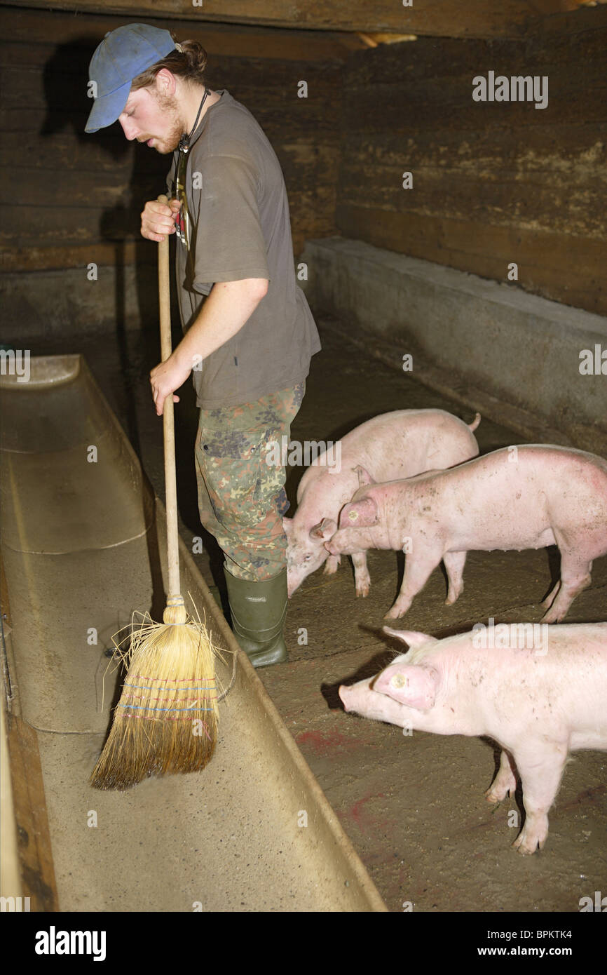 Cleaning the pig- sty, Laufbichl Alpe, Hintersteiner Tal, Bad Hindelang, Allgau, Swabia, Bavaria, Germany Stock Photo