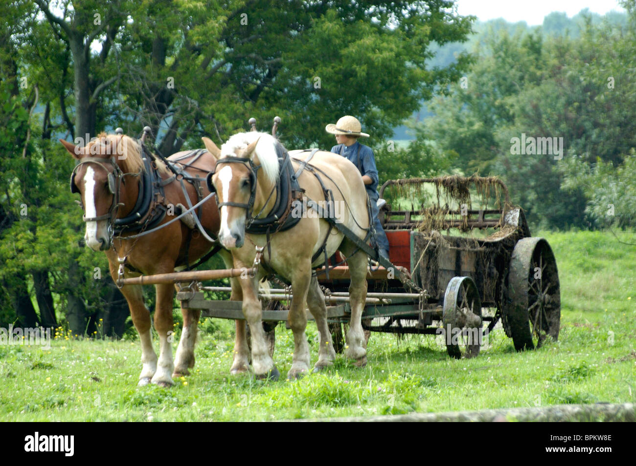 amish-scene-pennsylvania-dutch-country-usa-stock-photo-alamy