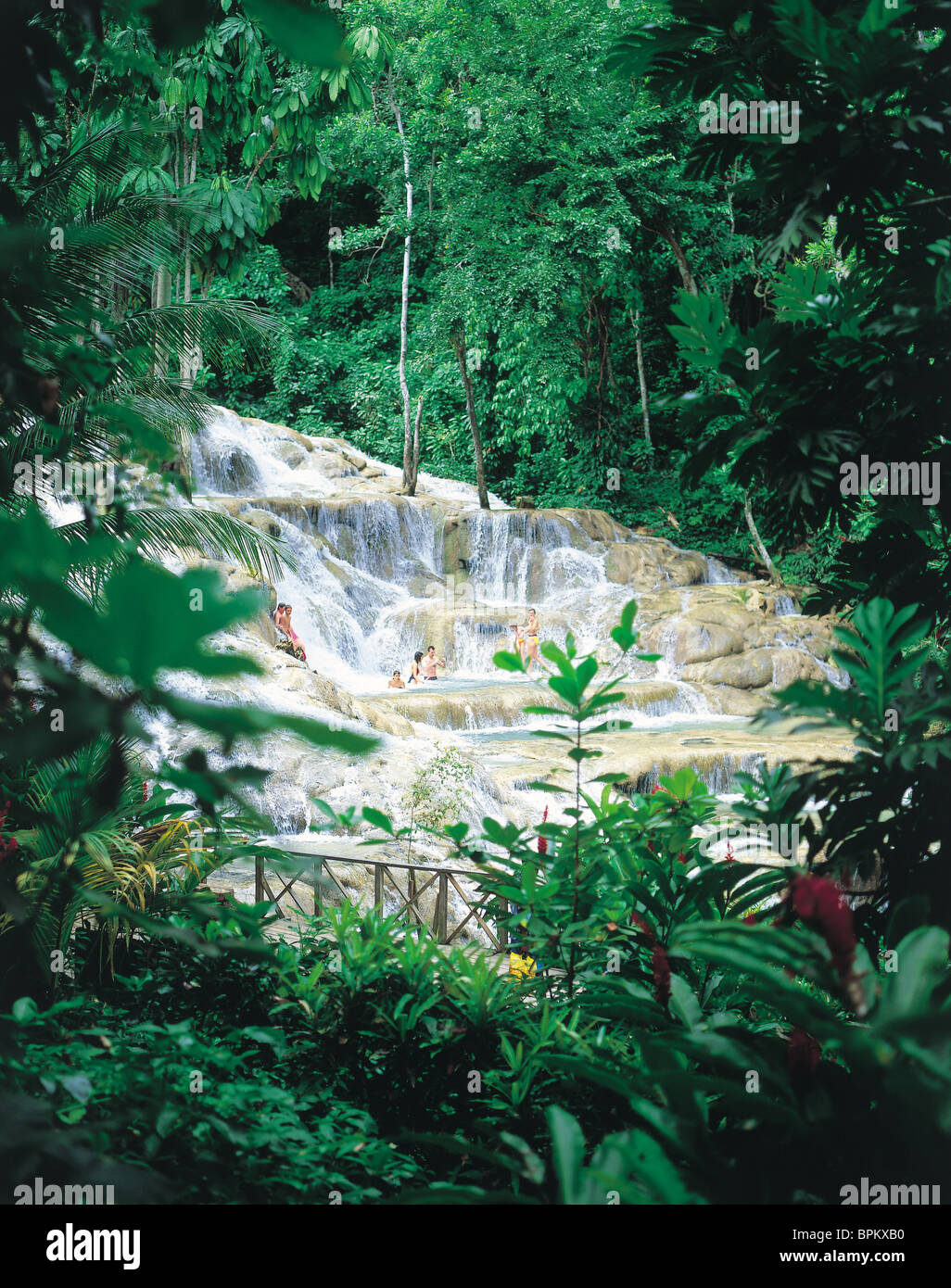 Dunn's River Falls, Jamaica, Caribbean Stock Photo