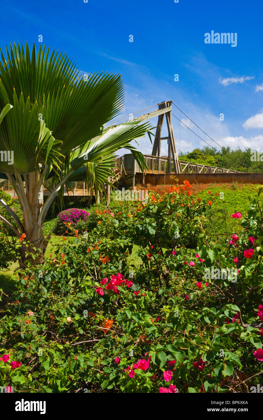 Swingers in lihue hawaii