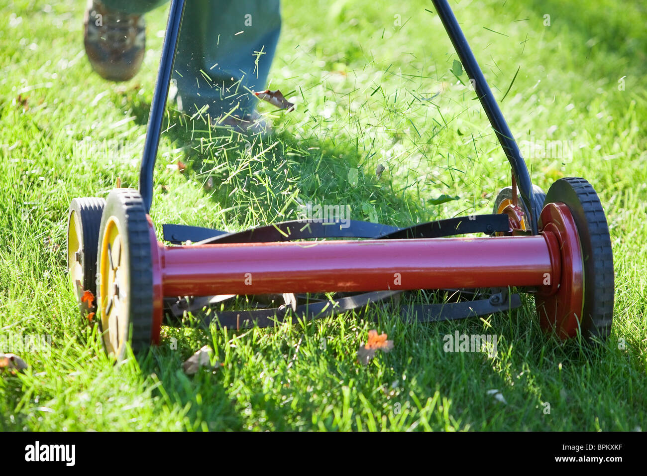 Cutting grass with an environmentally friendly lawn mower. Stock Photo