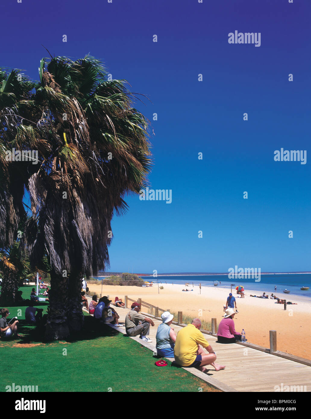 Monkey Mia, W. Australia, Australia Stock Photo Alamy