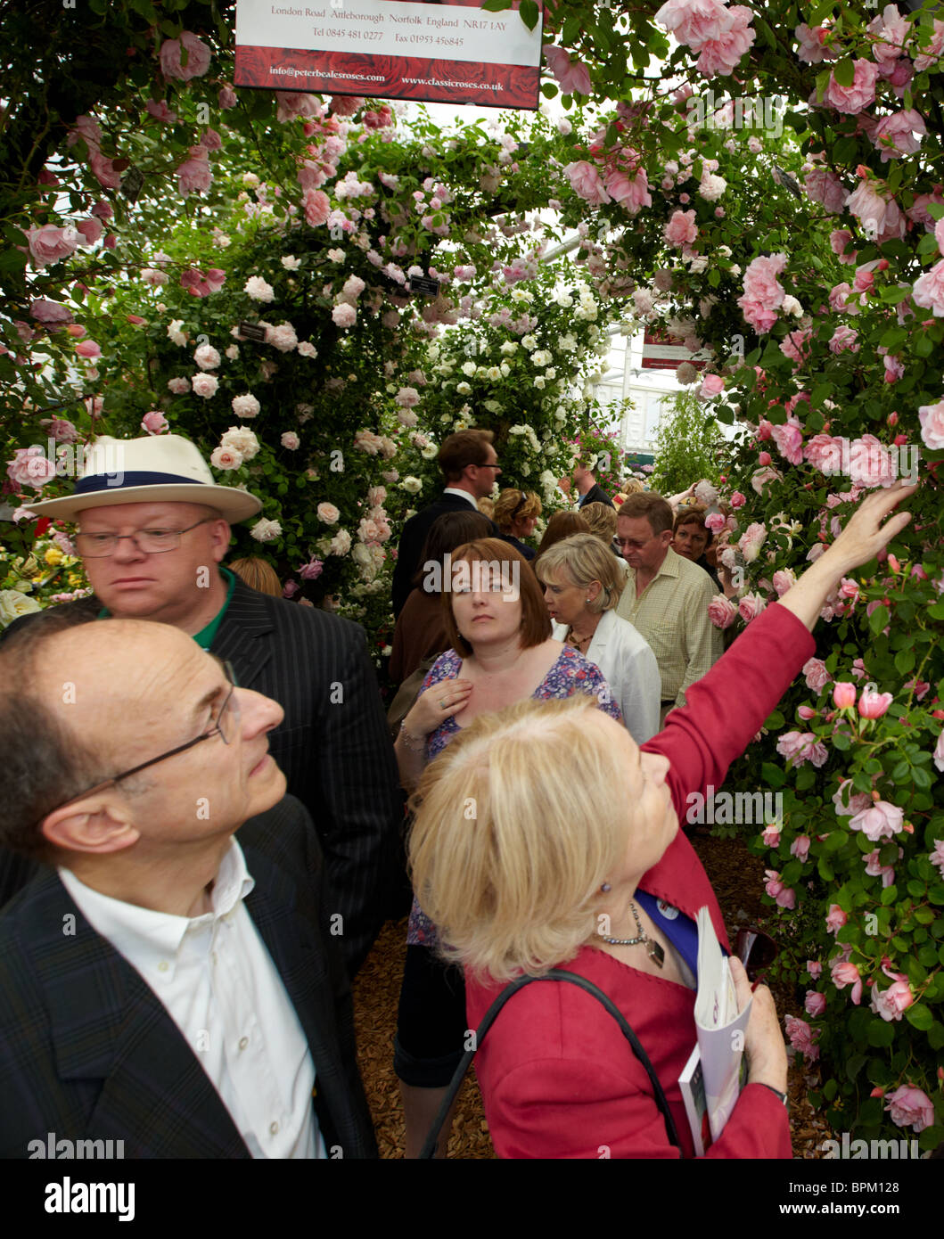 Rc 12137 hires stock photography and images Alamy