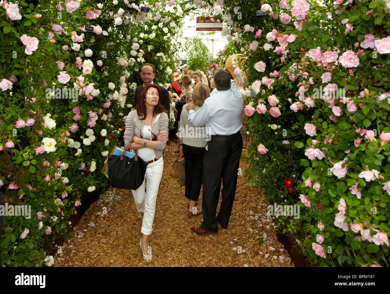 People Smelling Roses At The Chelsea Flower Show London UK Stock Photo