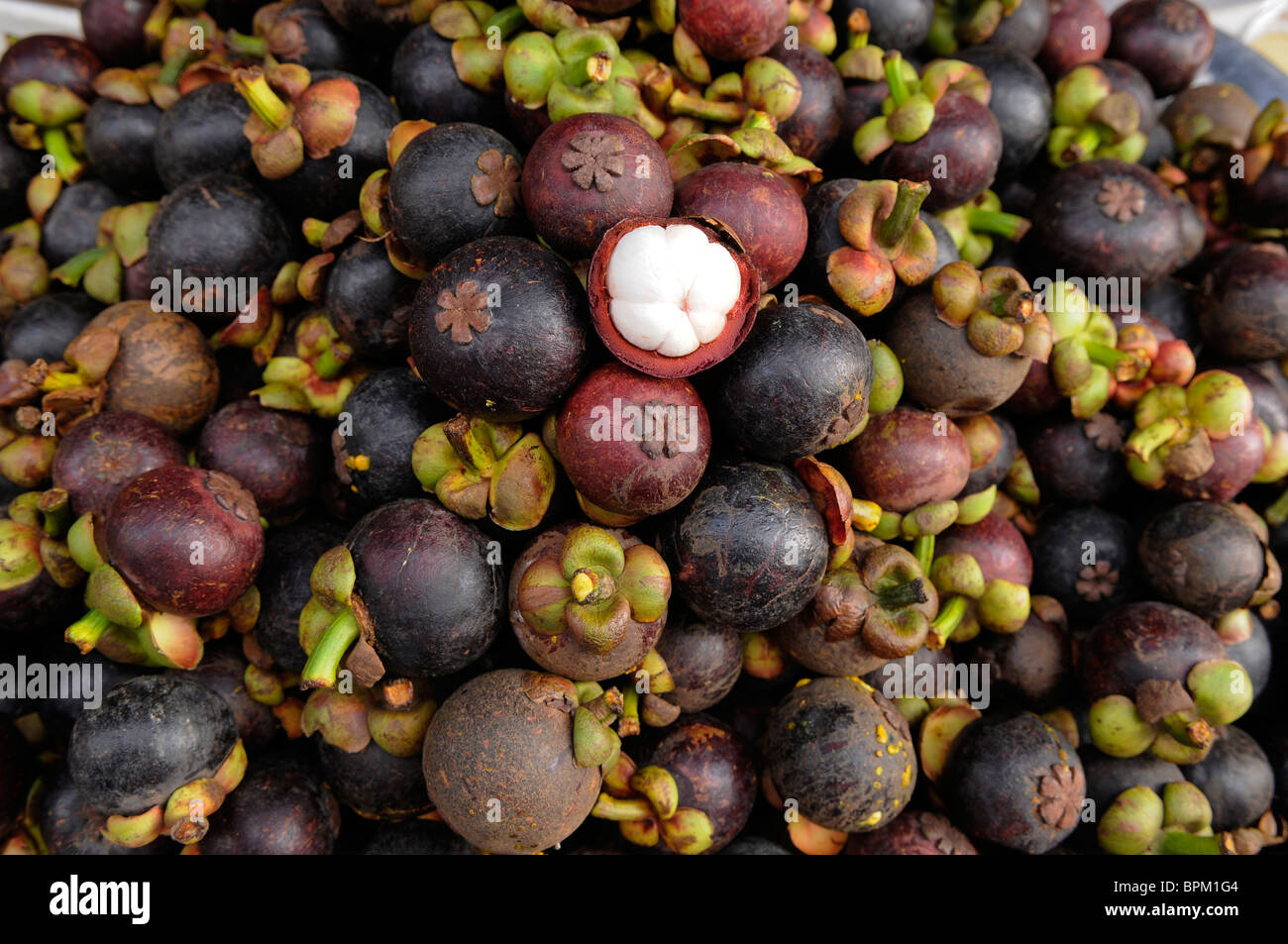 Stack of mangosteen fruit, Friut market, Bangkok, Thailand Stock Photo
