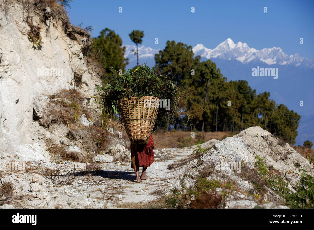 Woman carrying basket on mountain trail Nagarkot Nepal, the Himalayas Asia Stock Photo