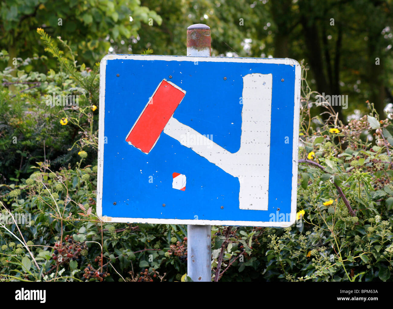 No through road sign against a hedge Stock Photo