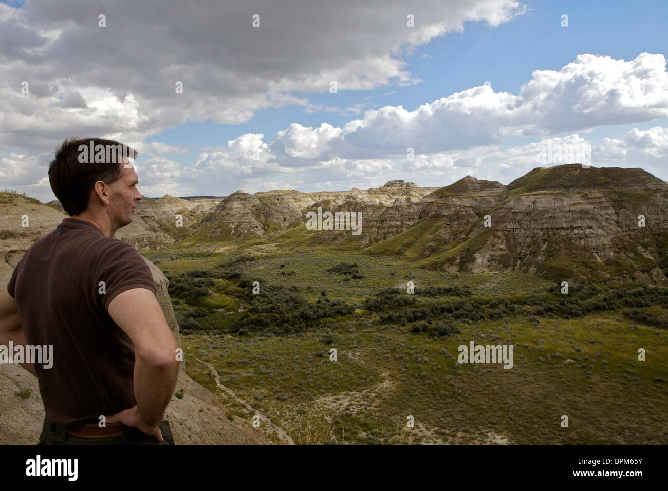 Strange landscape of the badlands in Dinosaur Provincial Park, a UNESCO World Heritage Site in the Red Deer Valley, Alberta. Stock Photo