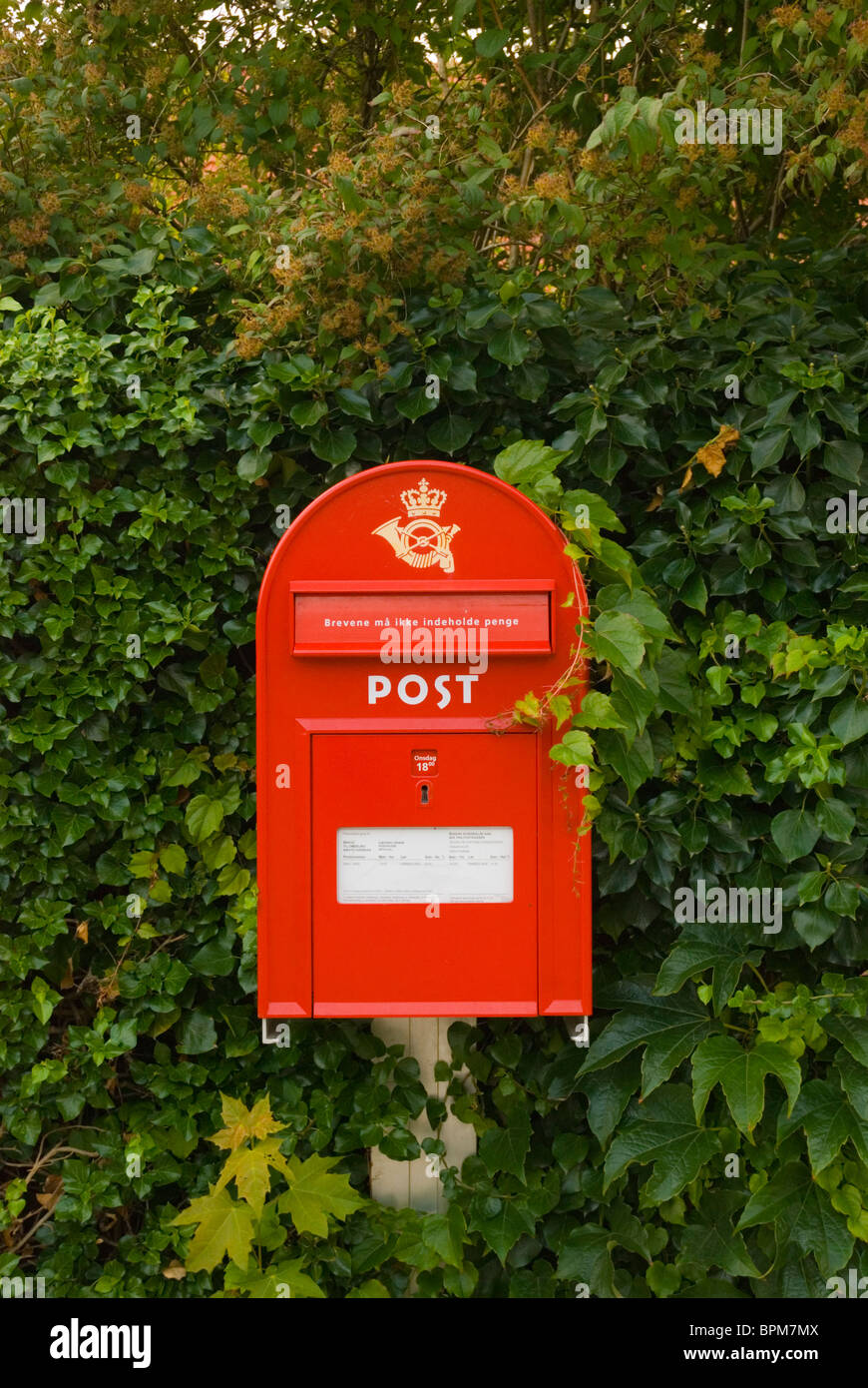 Mailbox letter box residential area north Roskilde Denmark Europe Stock Photo