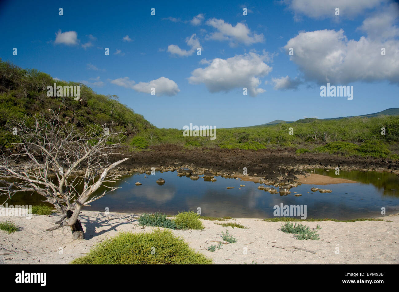 Ecuador, Galapagos, San Cristobal Island (aka Chatham). Playa Ochoa aka