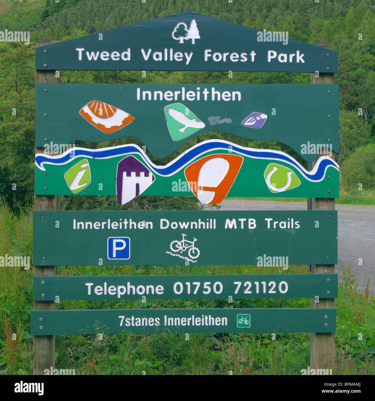 Forestry commission mountain biking sale