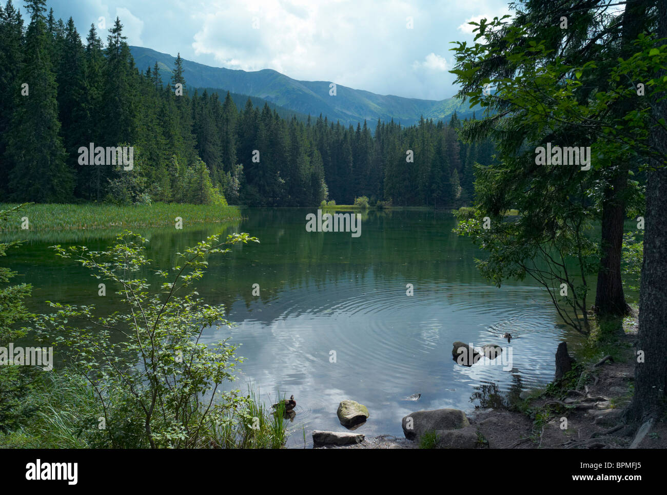 Vrbicke Pleso or Lake at the head of Jasna Valley in Nizke Tatry or Low Tatras National Park Slovakia Stock Photo
