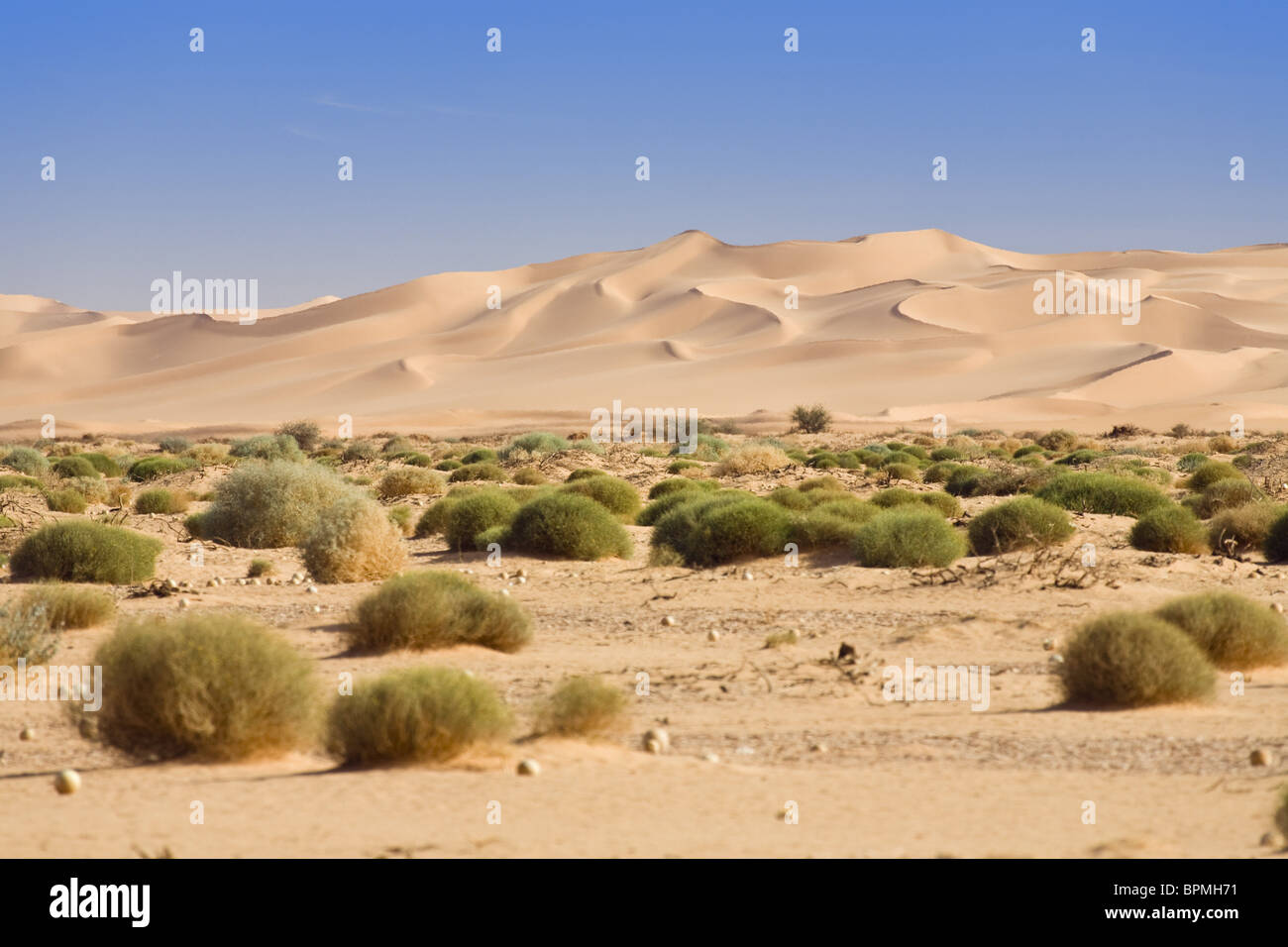 Sanddunes in the libyan desert, Sahara, Libya, North Africa Stock Photo -  Alamy