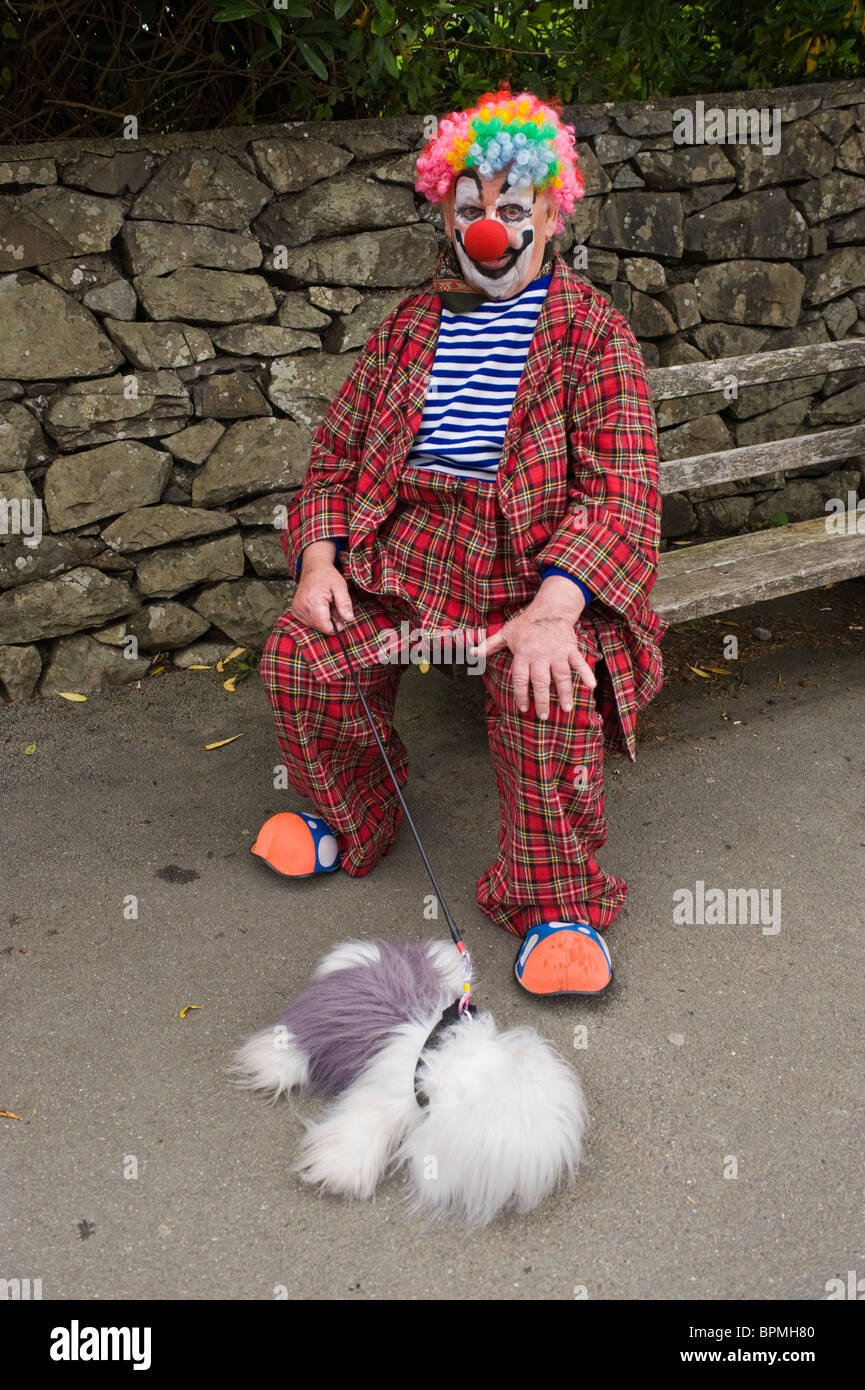 Clown sitting on bench with toy dog in the street during Llandrindod Wells Victorian Festival Powys Mid Wales UK Stock Photo