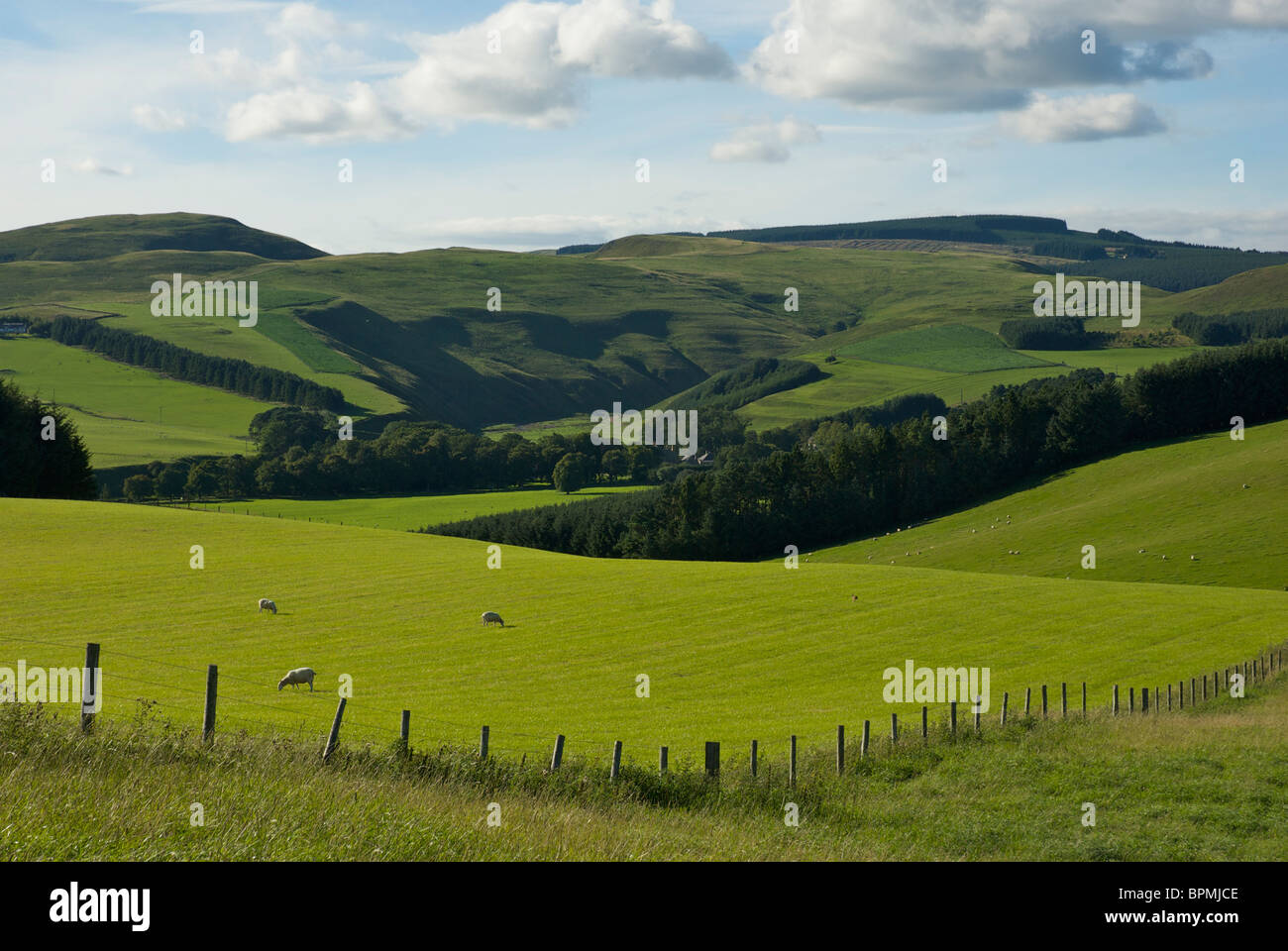 The Cheviot Hills near Bellingham, Northumberland, England UK Stock