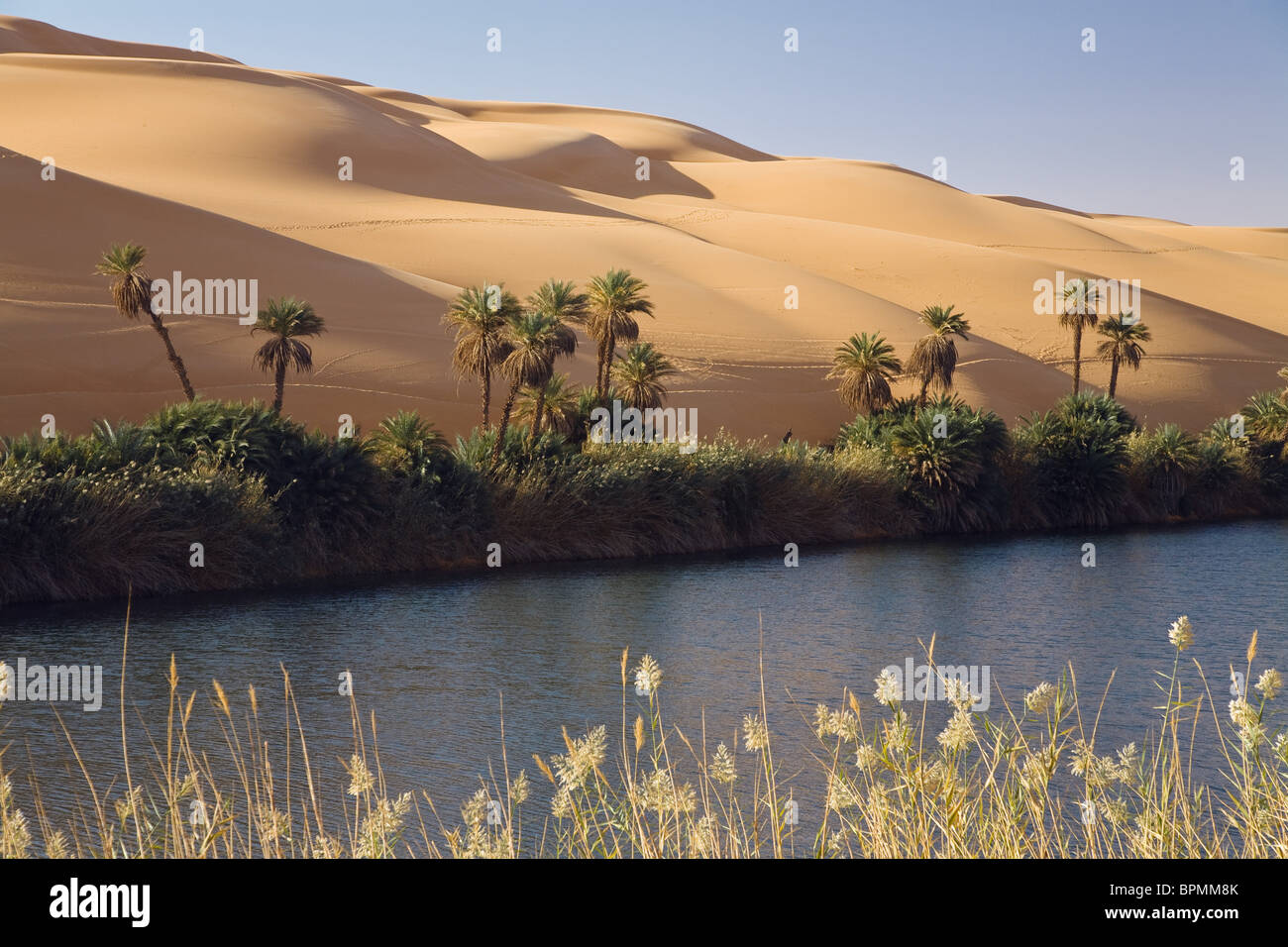 Mandara Lakes in the dunes of Ubari, oasis Um el Ma, libyan desert, Libya, Sahara, North Africa Stock Photo