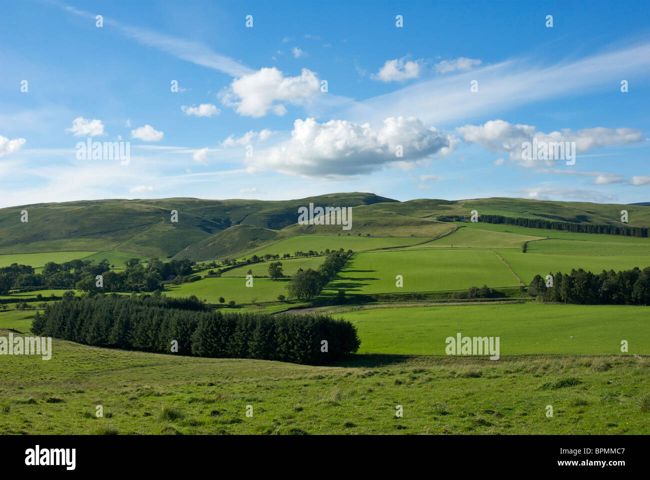 The Cheviot Hills near Bellingham, Northumberland, England UK Stock