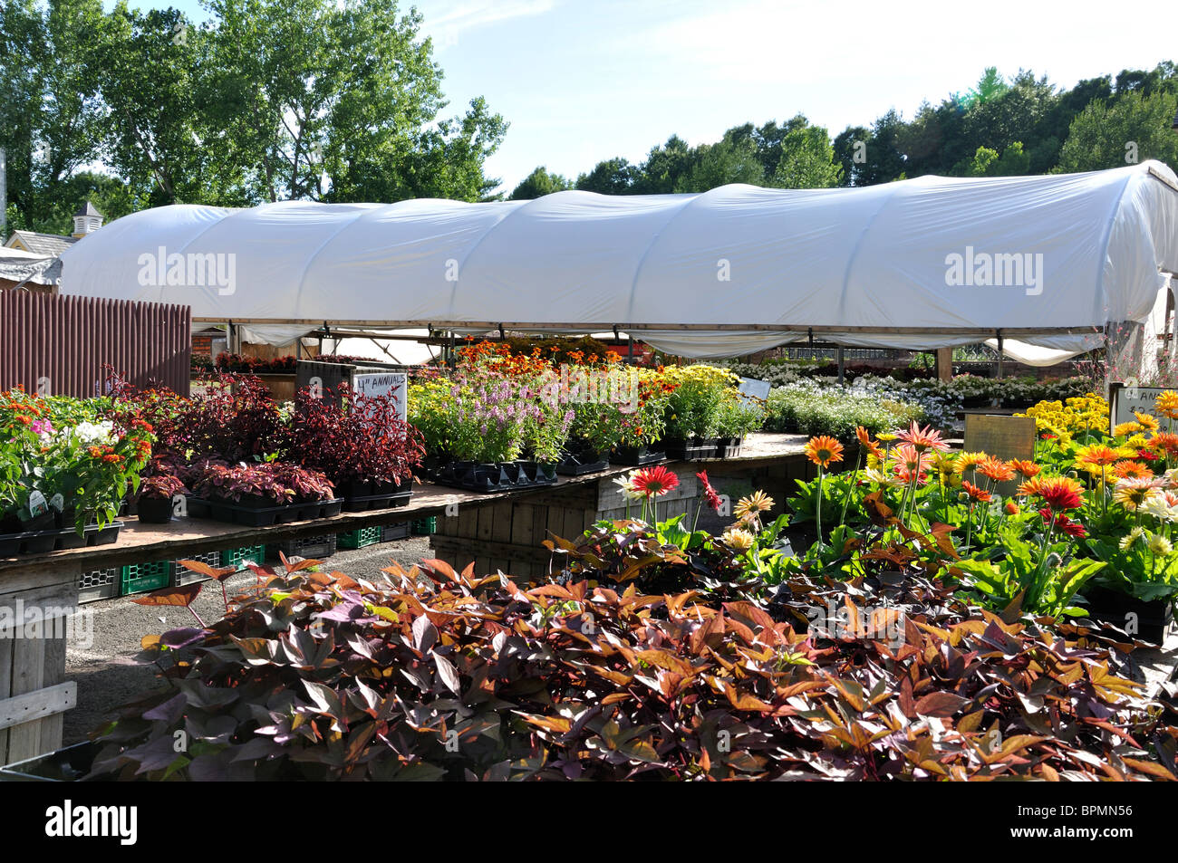 Flower shop in Connecticut, New England, USA Stock Photo Alamy