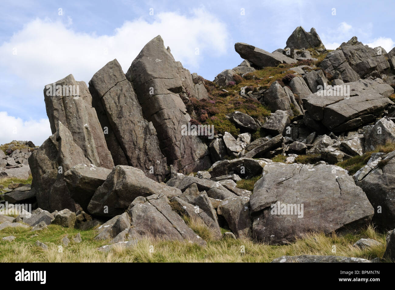 Outcrops of Spotted  dolerite Bluestones Carn Meini Carn Menyn Preseli Hills Pembrokeshire Wales Cymru UK GB Stock Photo