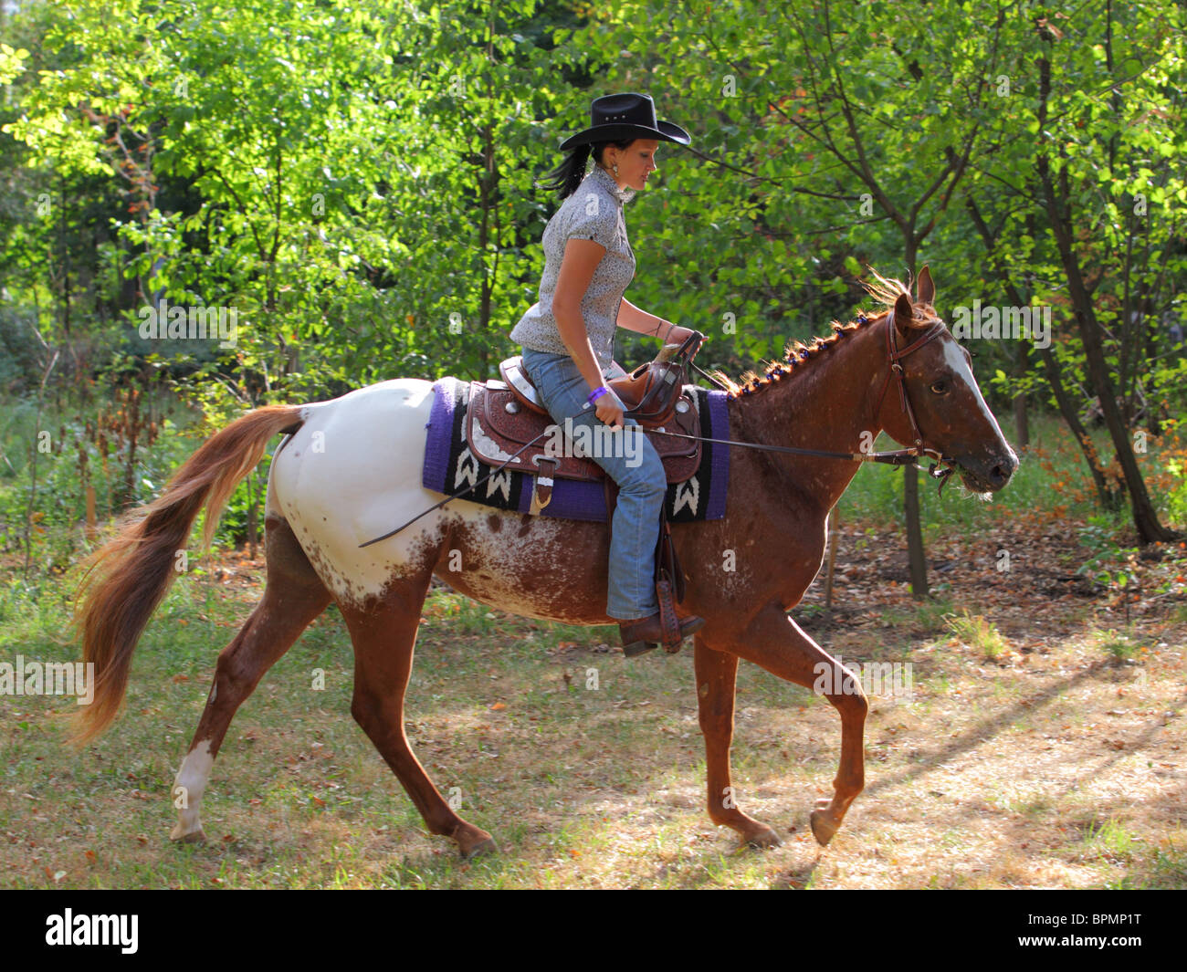 Сowgirl on horse at dusk Stock Photo