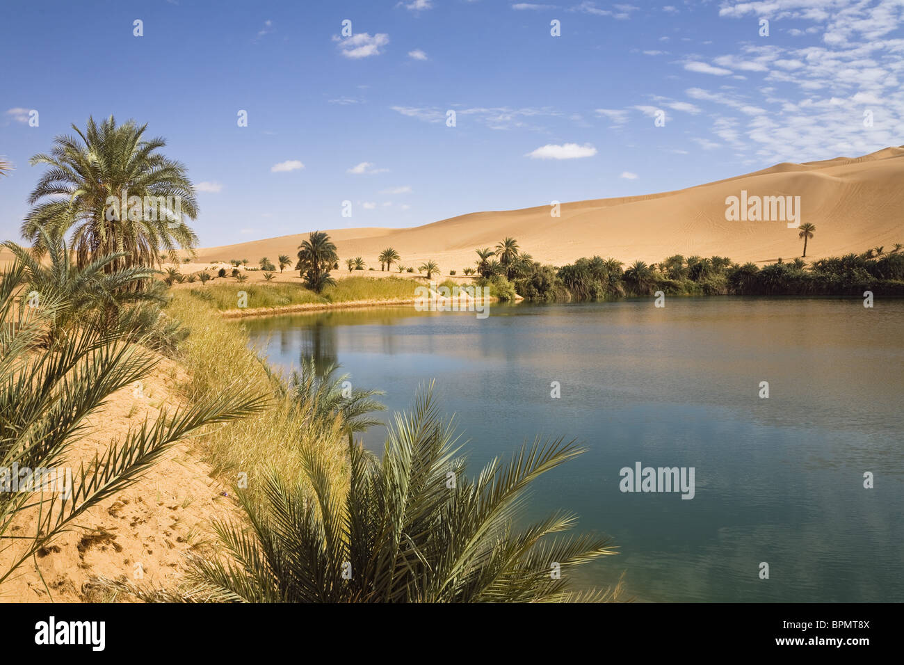 Mandara Lakes in the dunes of Ubari, oasis Um el Ma, libyan desert, Libya, Sahara, North Africa Stock Photo