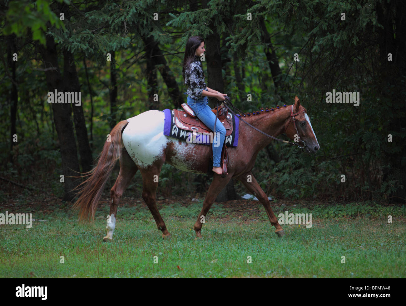 Сowgirl on horse at dusk Stock Photo