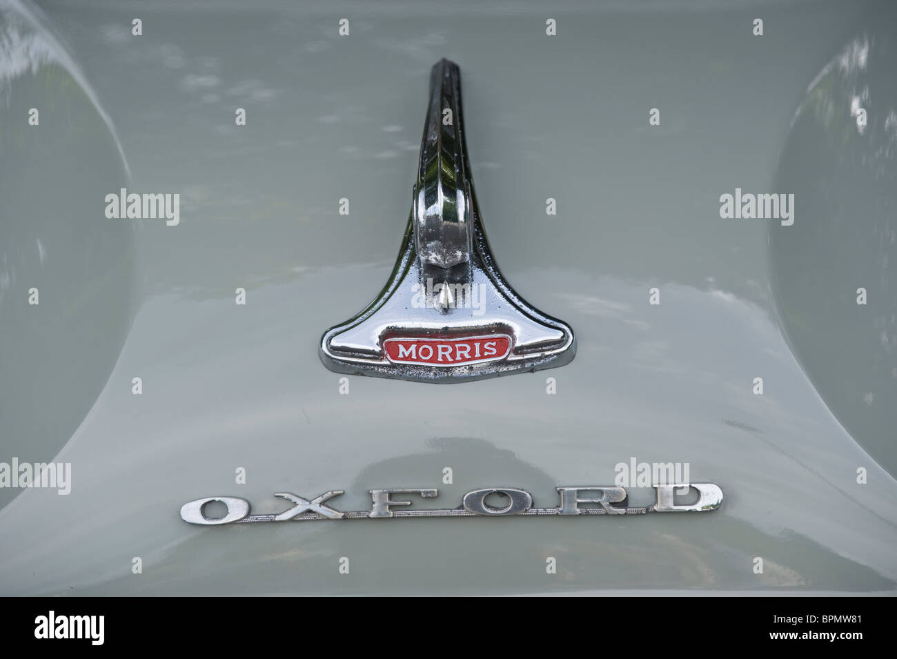 Bonnet badge of English Morris Oxford restored classic motor car Stock Photo