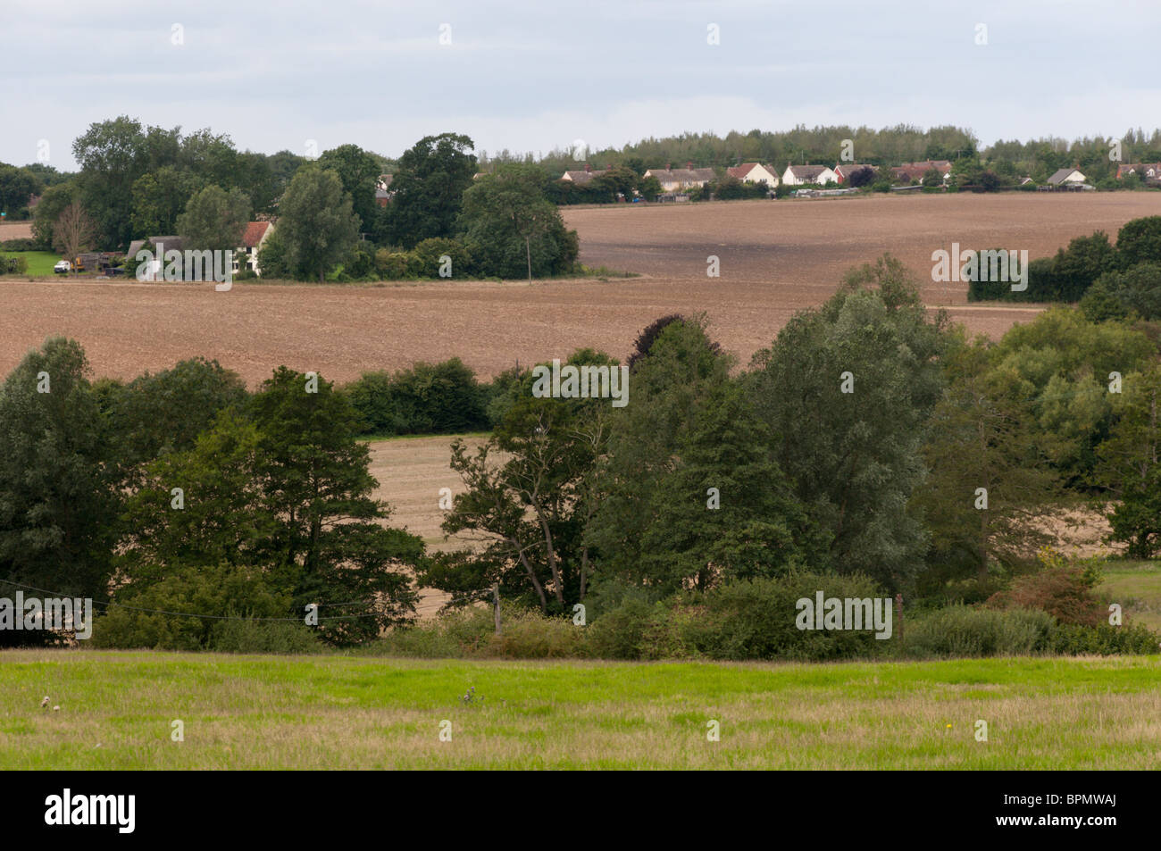 Typical Essex farmland scenery near Braintree. Stock Photo