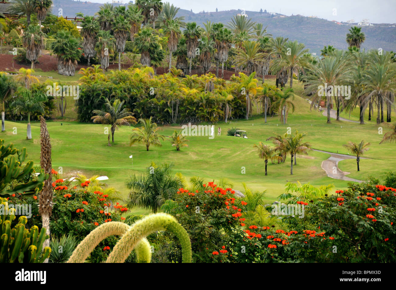 Golf course Abama under clouded sky, west coast of Tenerife, Canary Isles, Spain, Europe Stock Photo
