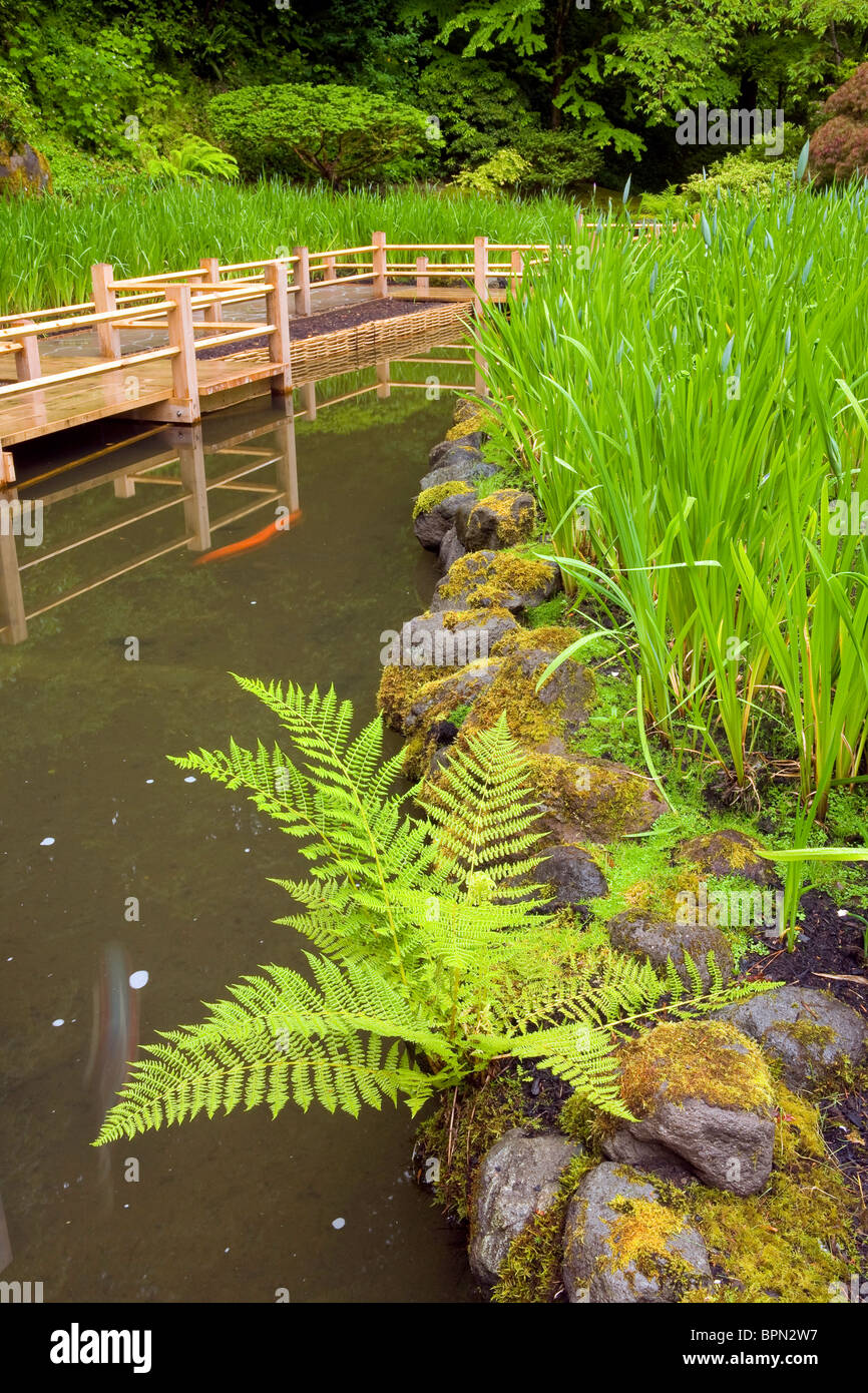 Zig Zag Bridge and Iris, summer, Portland Japanese Garden, Oregon Stock Photo