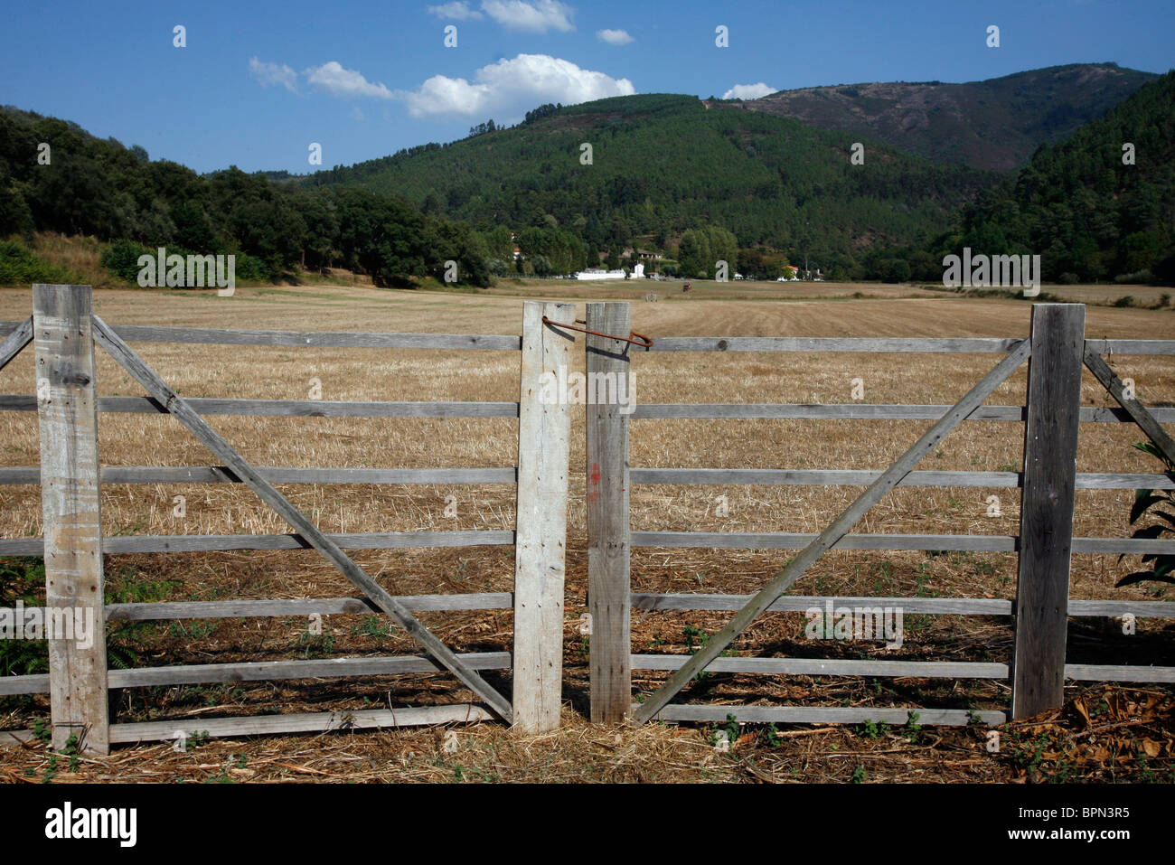 Fields of the wood hi-res stock photography and images - Alamy