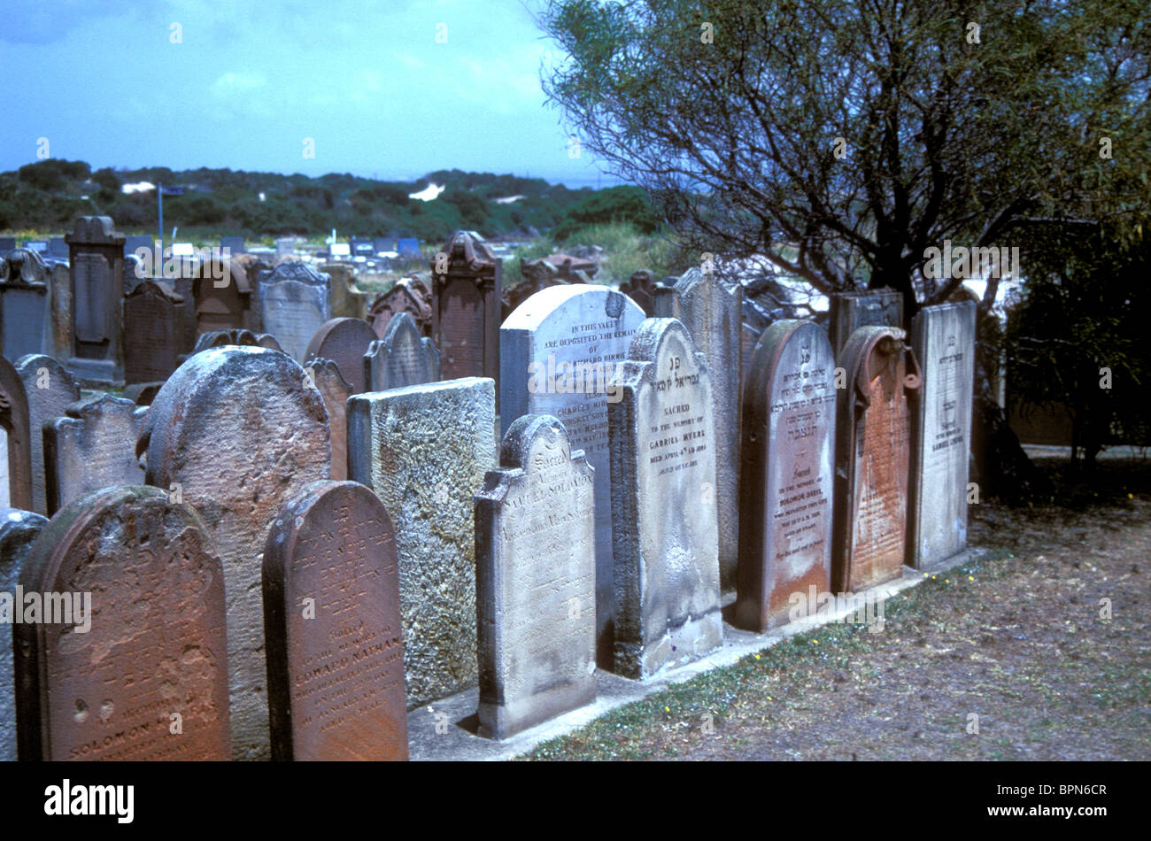Gravestones of early settlers in Sydney, NSW, Australia Stock Photo