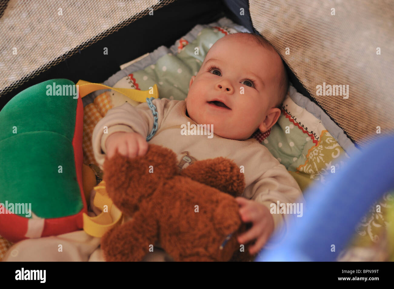 Five months old baby in his cot Stock Photo Alamy