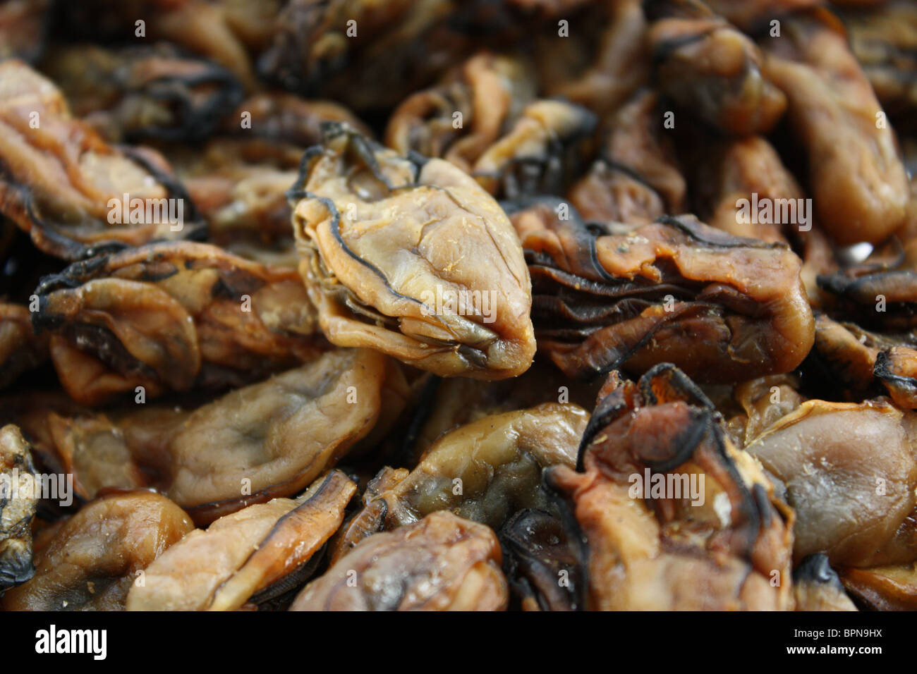 dry oyster seafood Stock Photo