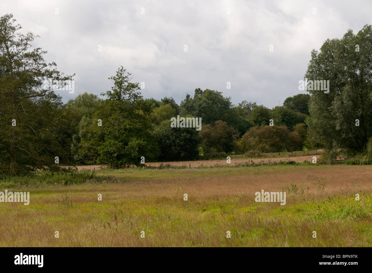 Typical Essex countryside - the valley of the River Pant, north of Braintree Stock Photo