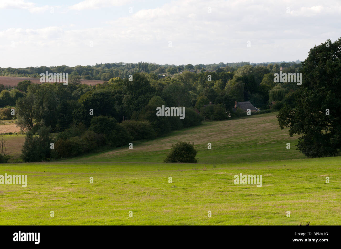 Typical Essex farmland scenery near Braintree. Stock Photo